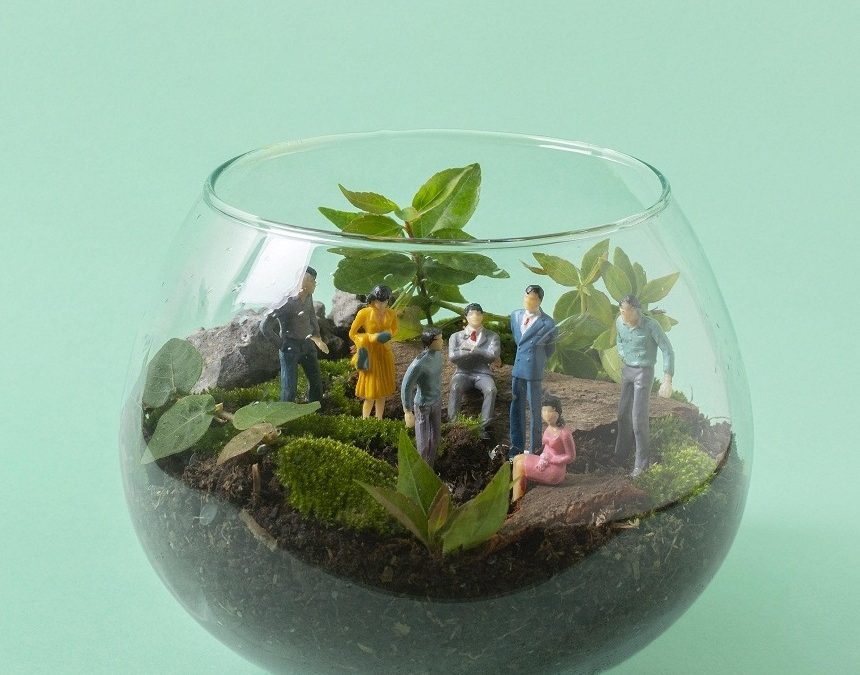 Public Relations and Sustainability